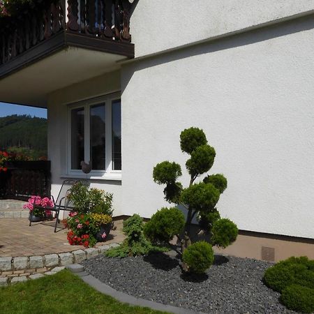 Ferienwohnung Waltraud Brilon Εξωτερικό φωτογραφία